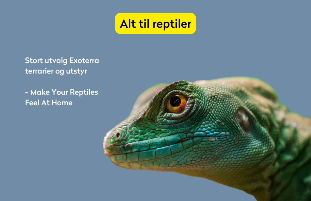 Exoterra terrarier og utstyr. Alt til reptiler.