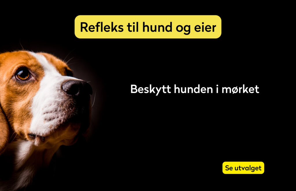 refleks til hund