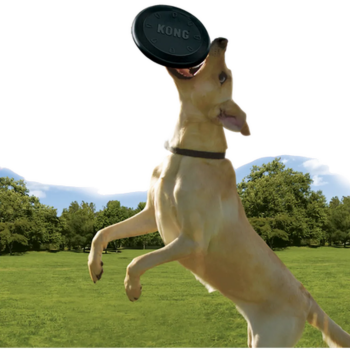Kong Extreme Frisbee