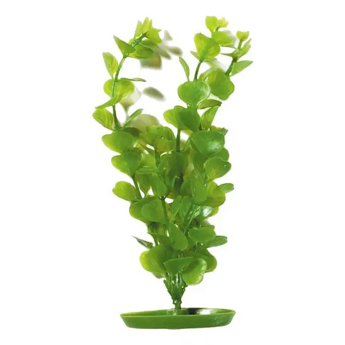 Plastplante Moneywort