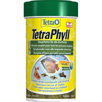 Tetra Phyll