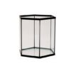 6 kantet glassakvarium lav modell