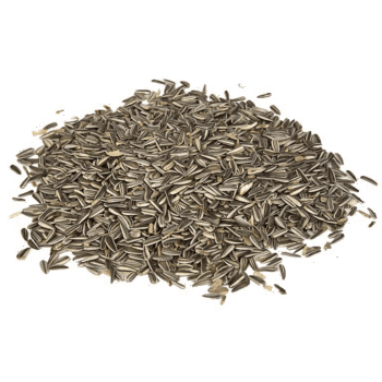 Solsikkefrø med skall