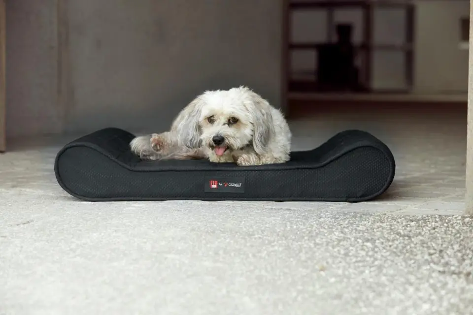 Catago FIR-TECH Hundepute