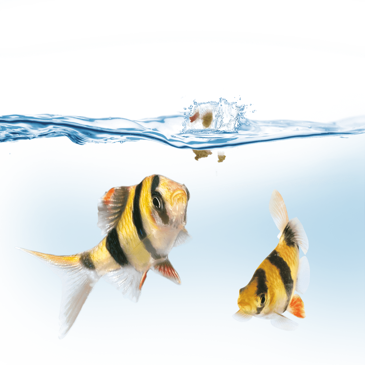 Juwel Foringsautomat EasyFeed