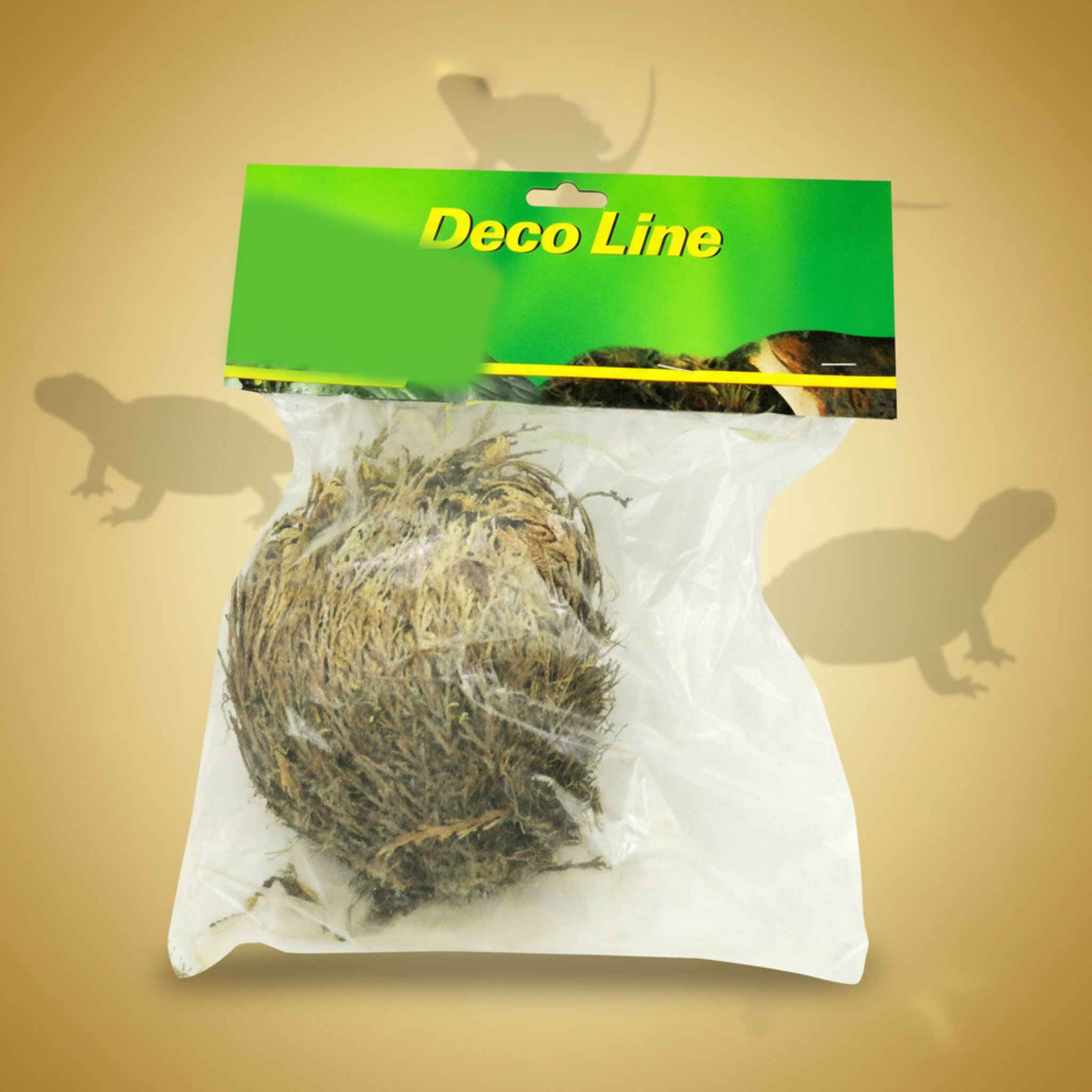 Lucky Reptile Rose of Jericho Live Plant