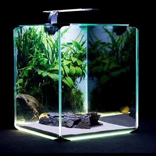 Nano-LED Intenso lampe