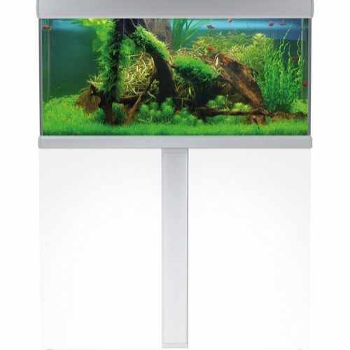 Akvastabil Fusion akvarie