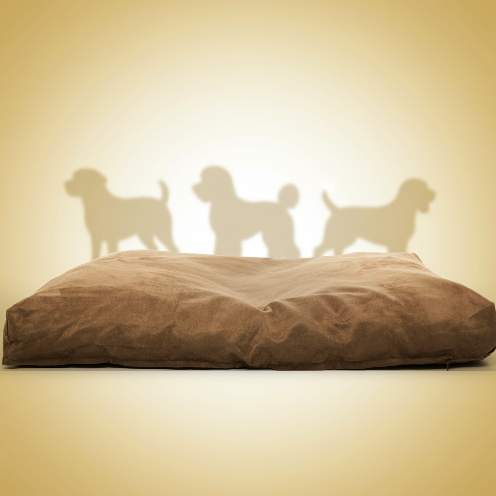 Buster-Kruuse Memory Foam Hundeseng Madrass