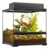 Terrarium Exo Terra Pro Small Wide 45x45x45cm