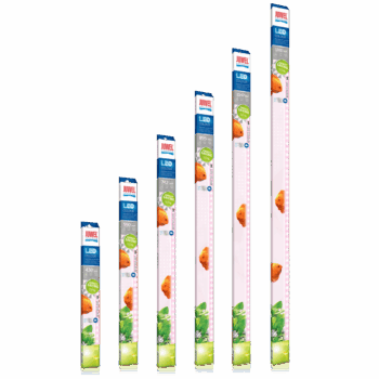 Juwel Lysru00f8r LED Light Colour