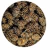 Hobby Alder Cones - Svartor-kongler 50stk