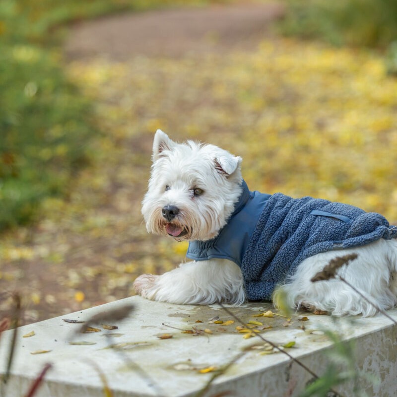Trixie Ajou vinter hundejakke