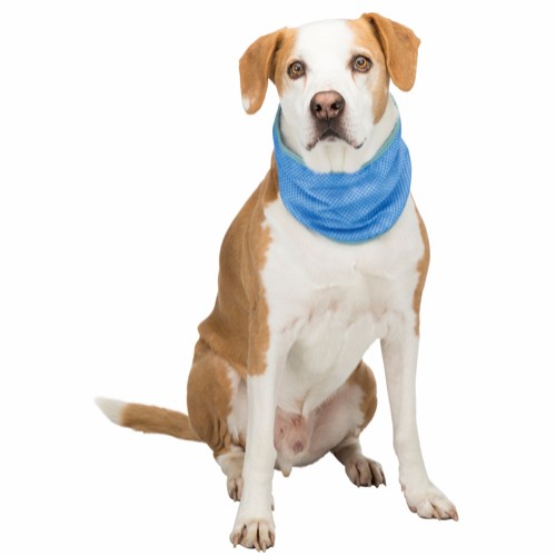 Trixie kjølebandana